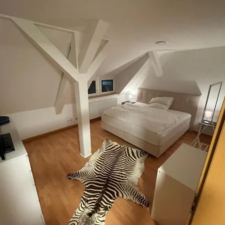 Premium Suedbahnhof Apartament Marburg